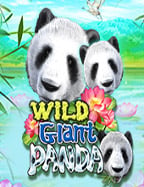 แจก เครดิต ยืนยัน เบอร์ รับ เครดิต ฟรี 2020: วิธีเล่นง่ายๆ ที่คุณควรรู้